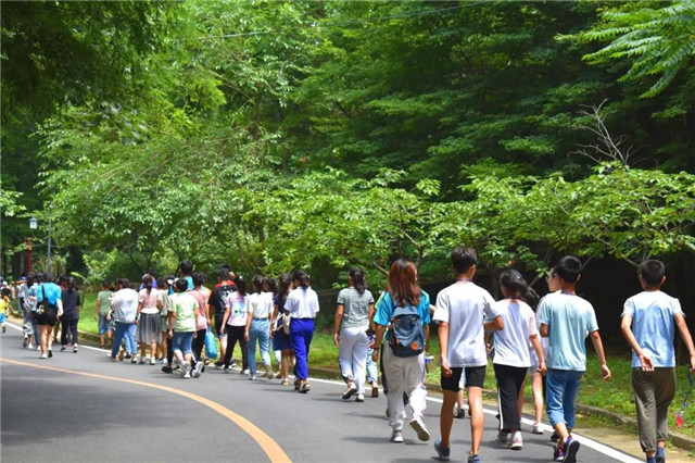 解锁消夏避暑新玩法，鸡公山“火爆模式”正上演！