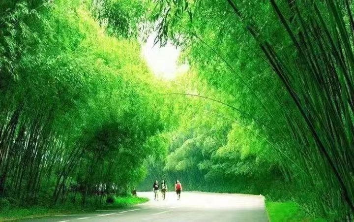 一张门票用两年？！欠您的一次“诗与远方”，重渡沟愿用720天补偿！